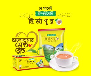 ৩. সাইডবার টপ (বিজ্ঞাপন দিন)